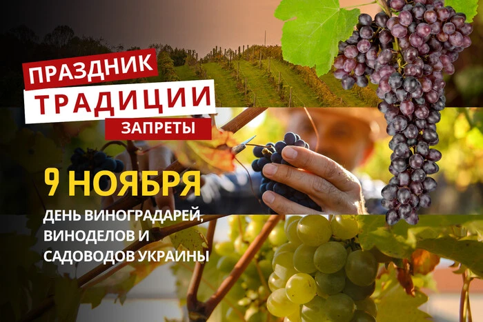 9 ноября: какой сегодня праздник, традиции и запреты