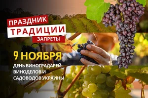 9 ноября: какой сегодня праздник, традиции и запреты