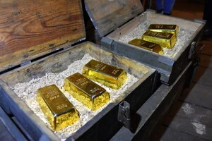 У Франції чоловік копав у саду басейн і знайшов золота та монет на €700 тисяч