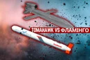 Украинская ракета «Фламинго» превосходит «Томагавк» по дальности – Independent