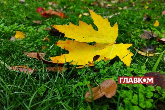 В Україні хмарно: погода на 10 листопада