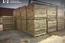 На Київщині викрито схему незаконного експорту цінної деревини: проведено понад 60 обшуків