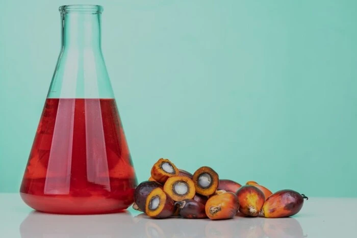 Пальмова олія та рак: вчені встановили зв'язок