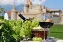 Франція повертає заборонені сорти винограду