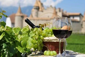 Франція повертає заборонені сорти винограду