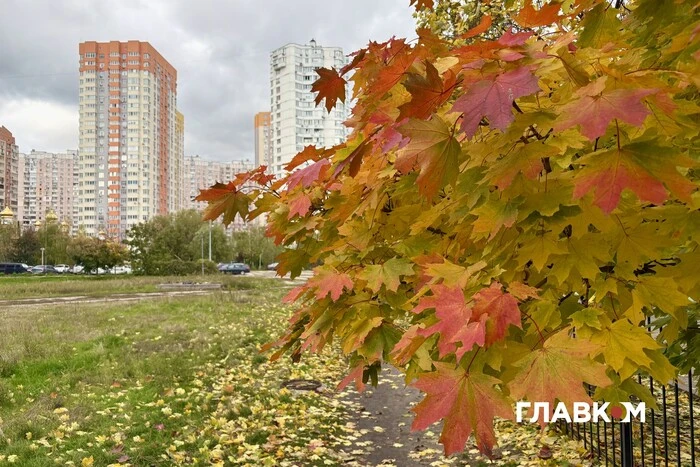 В Україні хмарно з проясненнями, без опадів: погода на 14 листопада 2025