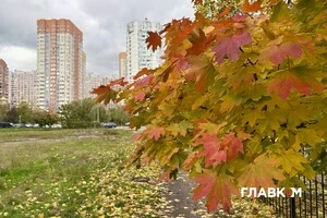 В Україні хмарно з проясненнями, без опадів: погода на 14 листопада 2025