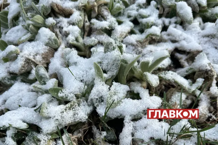 Коли в Україну прийдуть похолодання та мокрий сніг? Прогноз синоптикині