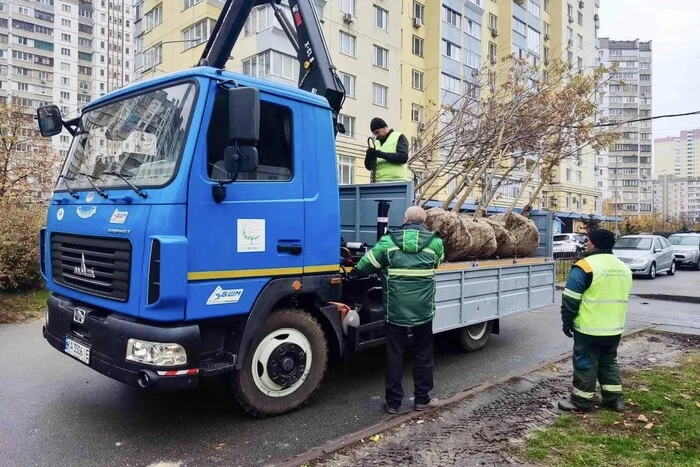 Озеленення столиці: у двох районах Києва висаджено 70 нових дерев (фото)