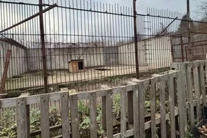 У Хмельницькому з реабілітаційного центру для диких тварин утекли два леви