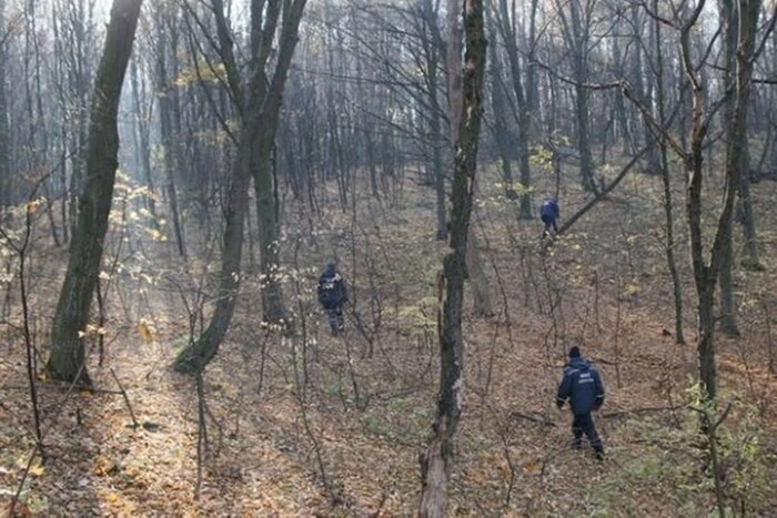 На Прикарпатті у лісі знайдено тіло мобілізованого чоловіка