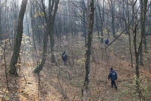 На Прикарпатті у лісі знайдено тіло мобілізованого чоловіка 