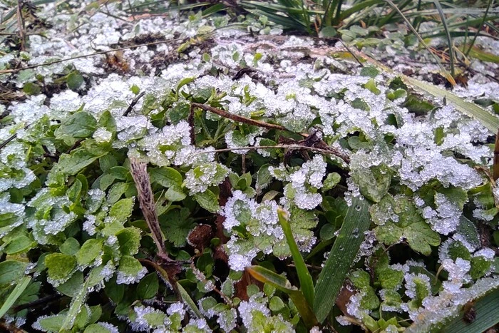 Від +17 до мокрого снігу. Україну найближчими днями чекає різка зміна погоди