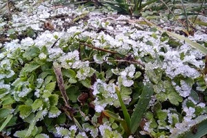 Від +17 до мокрого снігу. Україну найближчими днями чекає різка зміна погоди 