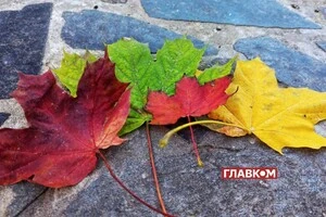 В Україні хмарно: погода на 17 листопада