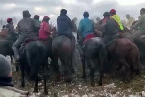 Біля Москви пройшов незаконний турнір з хокею на конях із обезголовленою тушею цапа