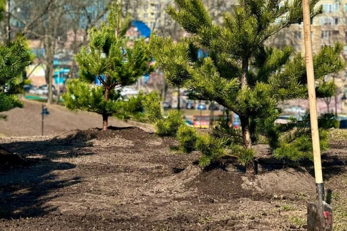 Неякісна земля для столичних парків: справу про розтрату 6,7 млн грн передано до суду