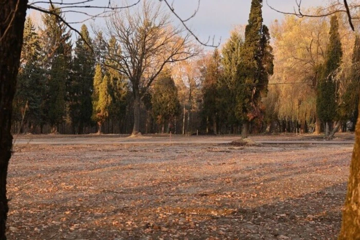 Львів обрав нову ділянку для поховання захисників України