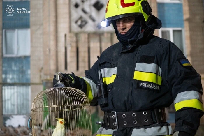 У Тернополі врятовано папугу з-під руїн знищеного будинку (фото, відео)