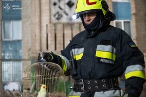 У Тернополі врятовано папугу з-під руїн знищеного будинку (фото, відео)