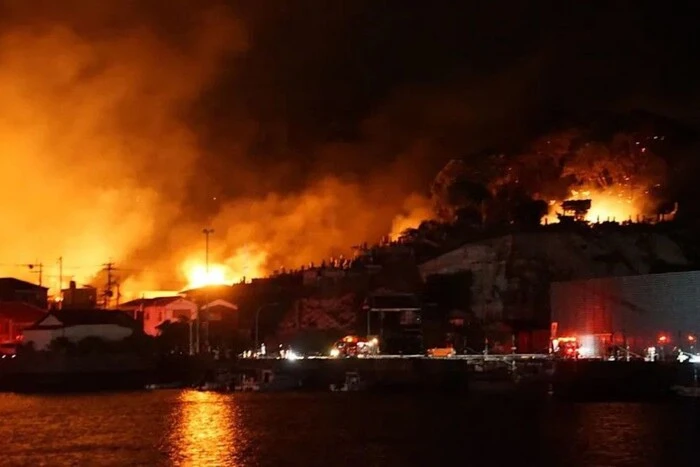 У Японії пожежа знищила цілий міський квартал