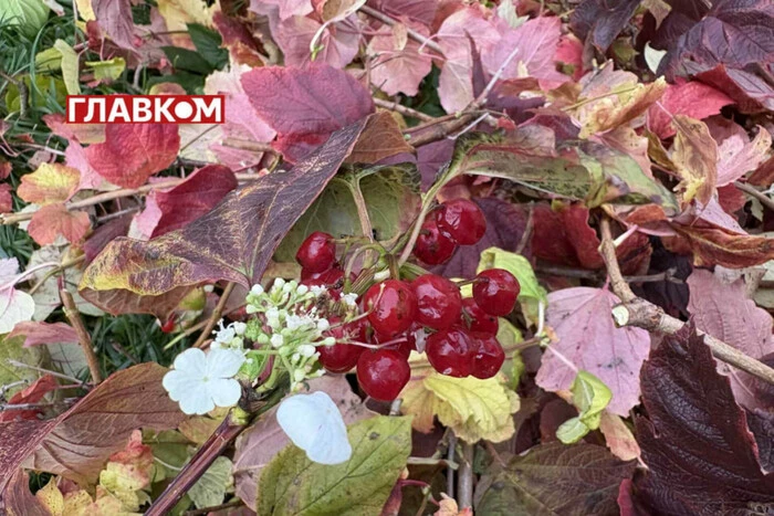 В Україні хмарно та місцями дощитиме: погода на 21 листопада 2025