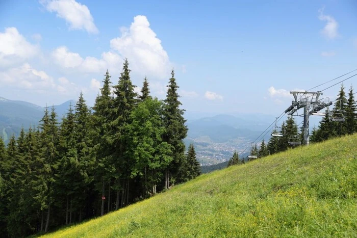 Під Буковелем частина держлісу опинилася у приватних руках