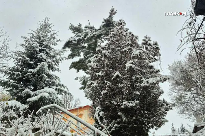 Казкове місто. Фоторепортаж зі Львова