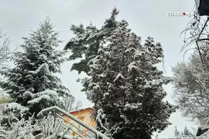 Казкове місто. Фоторепортаж зі Львова