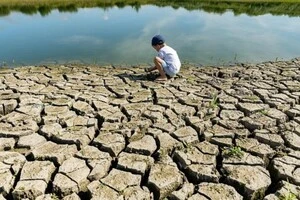 Літо в Європі подовжиться на 42 дні: деталі дослідження