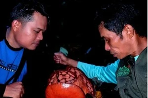 Індонезійські біологи позують із рідкісною рафлезією