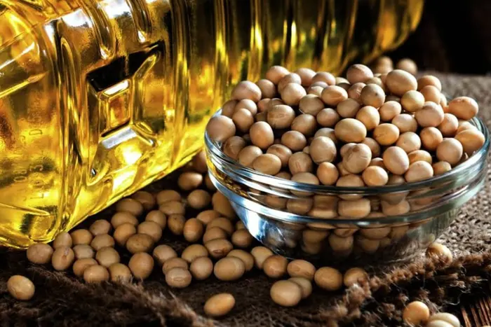 Світовий попит на соєву олію зростає: що відбувається з цінами на українському ринку