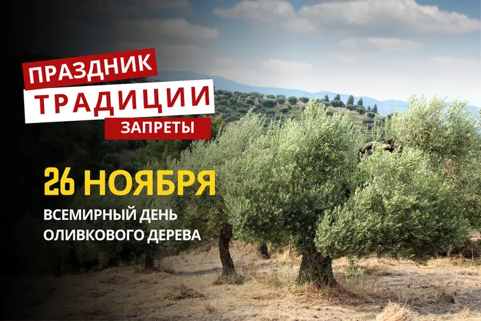 26 ноября: какой сегодня праздник, традиции и запреты