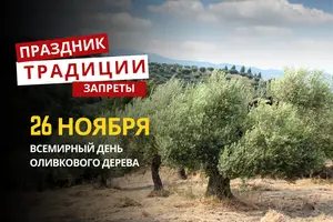 26 ноября: какой сегодня праздник, традиции и запреты
