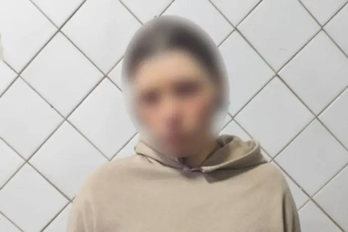 На Вінниччині затримано жінку за розбещення доньки