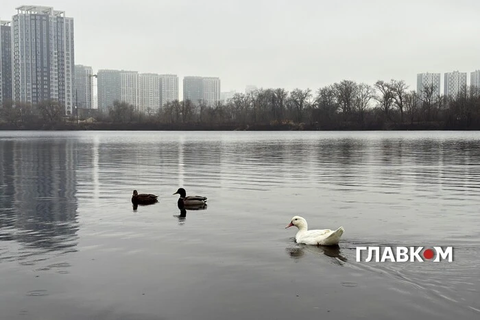 В Україні хмарно з проясненнями та невеликий дощ: погода на 28 листопада 2025