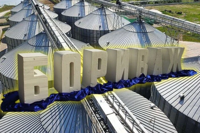 Суд скасував арешт «Боріважу». Хто поклав око на один із найбільших зернових терміналів України?