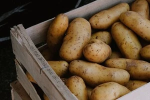 Україна суттєво збільшила імпорт картоплі: названо три країни-постачальника