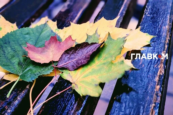 В Україні хмарно з проясненнями: погода на 29 листопада 2025