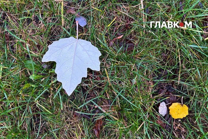 Синоптикиня Діденко розповіла, якою буде погода в останній день осені