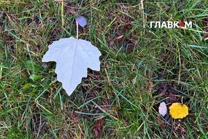 Синоптикиня Діденко розповіла, якою буде погода в останній день осені