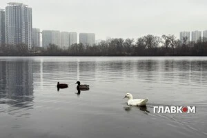 В Україні хмарно, місцями дощитиме: погода на 30 листопада 2025