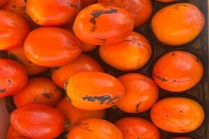 Фермерські продукти можна буде придбати у всіх районах міста