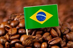 Бразилія масово переходити на робусту через посухи та кліматичні зміни