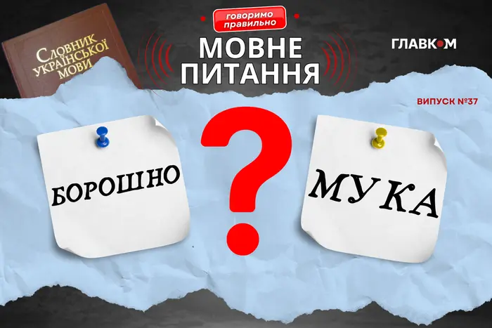 Чи можна казати на борошно мука? Мовознавиця розставила крапки над «і»