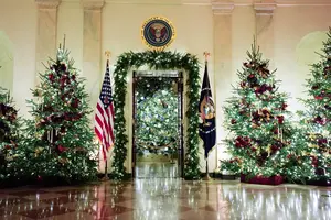 Ялинки у великому фойє Білого дому. За інформацією офісу першої леді Меланії Трамп, темою цьогорічних прикрас стало гасло «Дім там, де серце»