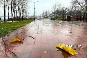 В Україні хмарно, місцями дощитиме: погода на 3 грудня