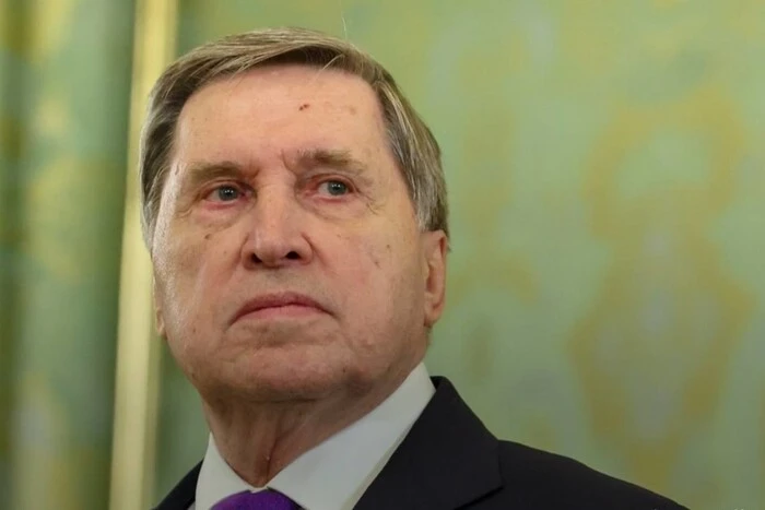 Віткофф та Кушнір пообіцяли Росії, що не поїдуть до Києва