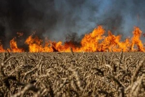 Збитки довкіллю від війни перевищили 6 трлн грн