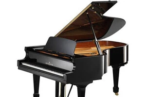 Кошти на покупку роялю для ужгородської музичної школи виділили з державного бюджету